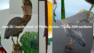 June 28, 2022 // marshy krell, w/ Plonk, Buchla / Tiptop 258t oscillator