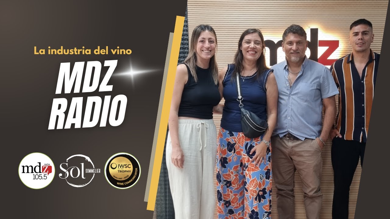 🍷 La industria del vino en la Argentina