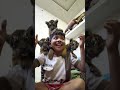 baby tiger 🐅
