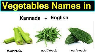 Vegetables Names in kannada, English | learn 2 languages in one video | part 3 screenshot 4