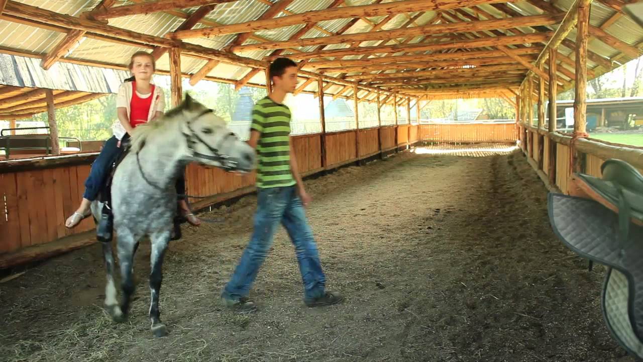 Mini Zoo Inwałd. agrokucyk.pl - YouTube