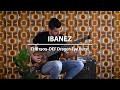 Бас-гитара IBANEZ EHB1505 SWL