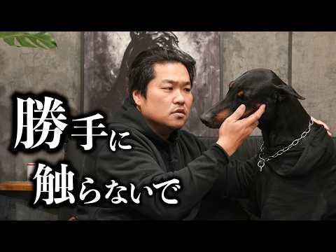 「子供だから仕方ない」で済まされるの、正直きつい