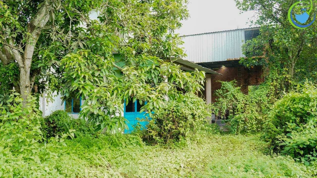 Full Video: SUPERMAN CLEANING! Overgrown bush house cleaned by an expert, neighbors are very happy