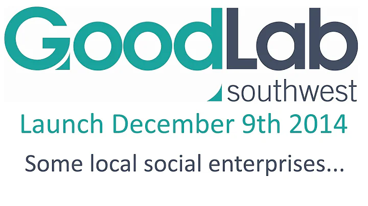 Goodlab locals 10 Rosalind Turner of Netwalking SW