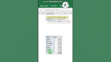 SUMIF advance function in Ms Excel(partially condition)SS-SIF3