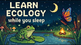 2 Hours of Ecology to Fall Asleep To