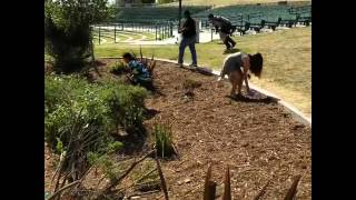 Easter Egg Hunt