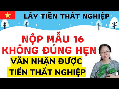 Video NỘP MẪU 16 THÔNG BÁO VIỆC LÀM KHÔNG ĐÚNG HẸN VẪN NHẬN... - youtube