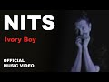 Miniature de la vidéo de la chanson Ivory Boy