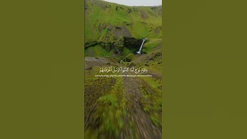 سورة الفرقان// القارئ عبدالرحمن مسعد #قران_كريم #قرآن #راحة_نفسية #quran_alkarim #quran