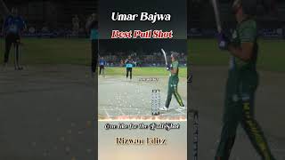 Umar Bajwa 🔥 BEST PULL SHOT | بال گئی سٹینڈز کے پار #shortsviral #shorts