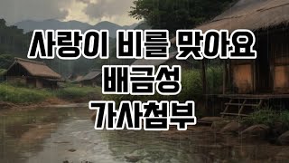 사랑이 비를 맞아요 배금성 가사첨부 1시간 반복 듣기 재생