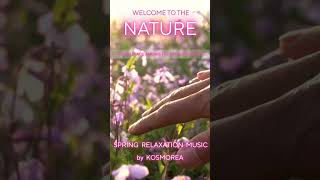 Spring Relaxation Music🌸 by Kosmorea 🌸 Calming Nature Music for Sleep, Study & Peace