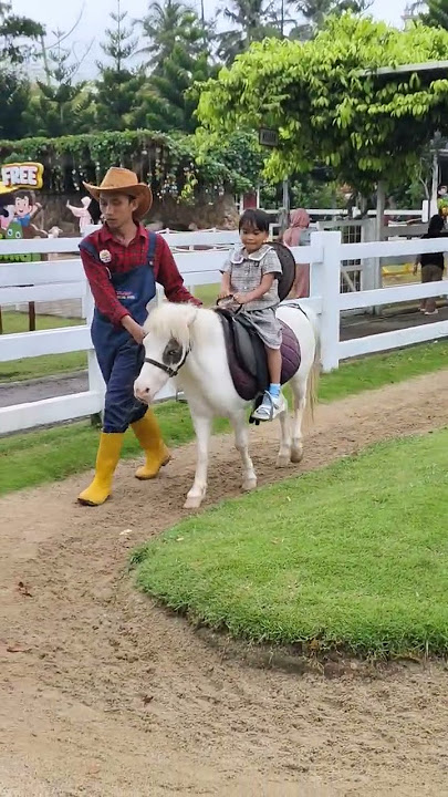 naik kuda poni #shorts #lagu #unicorn