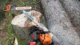 Fällen entasten und ablägen mit Stihl 500 i