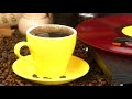 Summer Coffee Jazz - Sunny Morning Jazz and Bossa Nova Music Instrumental