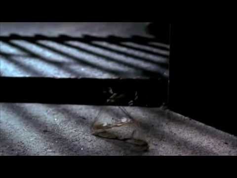 John Lennon - God (Fan Made Video) HQ