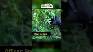 K9 Finds Missing Child