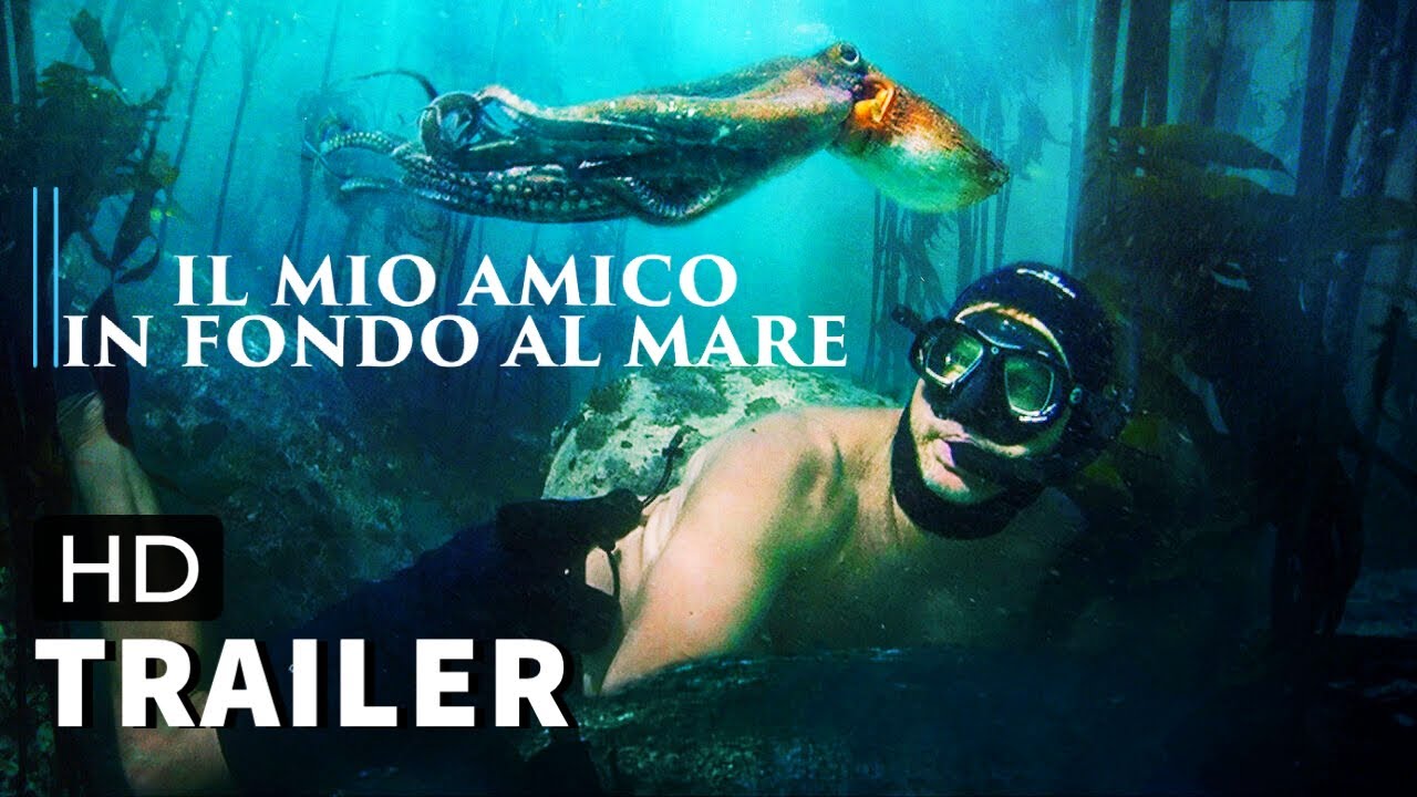 Il Mio Amico In Fondo Al Mare