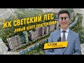 «Светский Лес» - бизнес-класс в центре Сочи. 10 июля 2025 г.