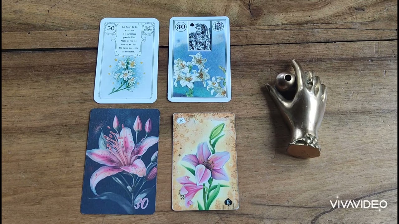 PETIT LENORMAND SIGNIFICATION SYMBOLIQUE ⚜️LYS 30⚜️#lenormand #oracle #formation #cartomancie