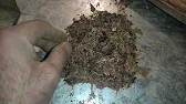 Роелов
