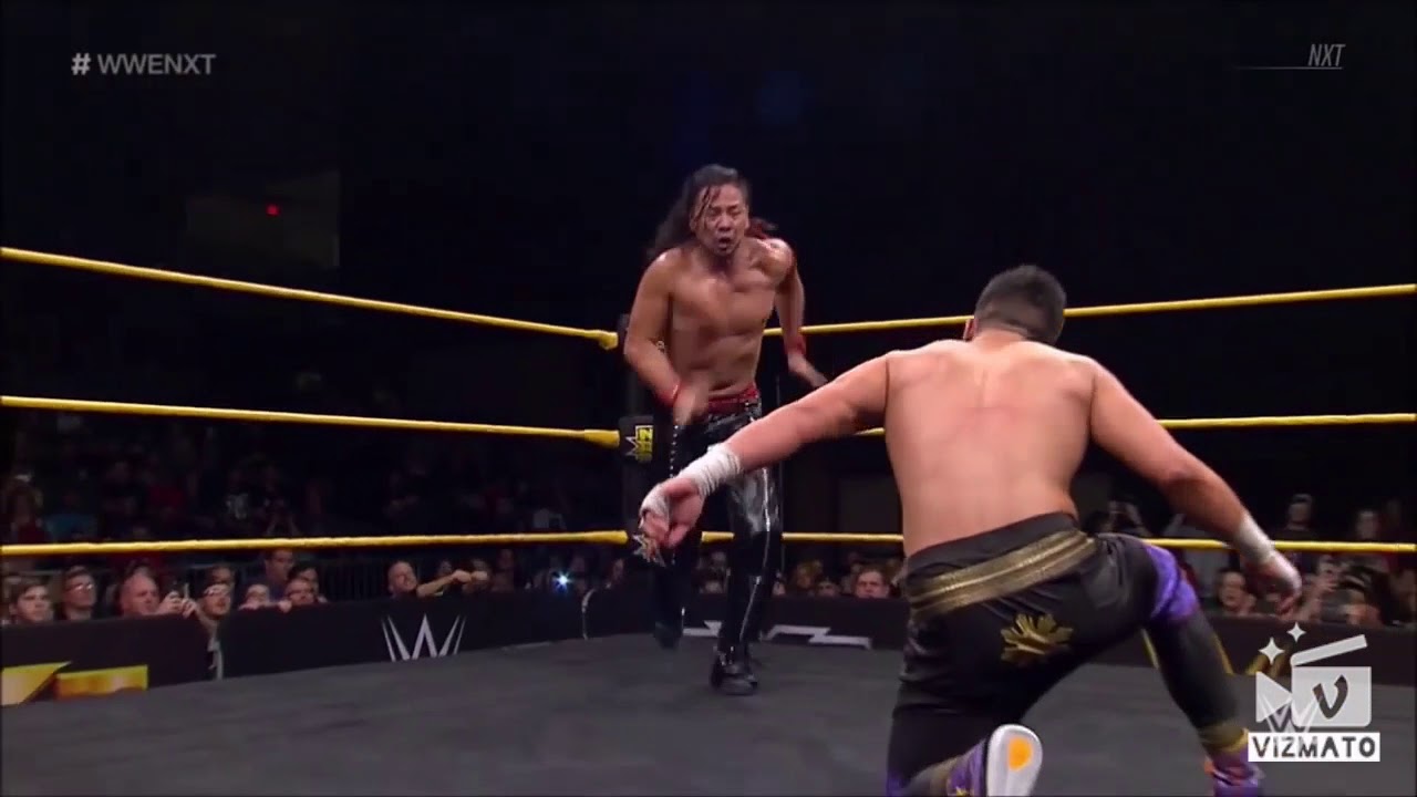 WWE top 10 moves in 2017 and 2018 YouTube