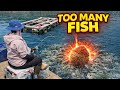 Pringles BOMB Attracts MONSTER Fish (ASMR)