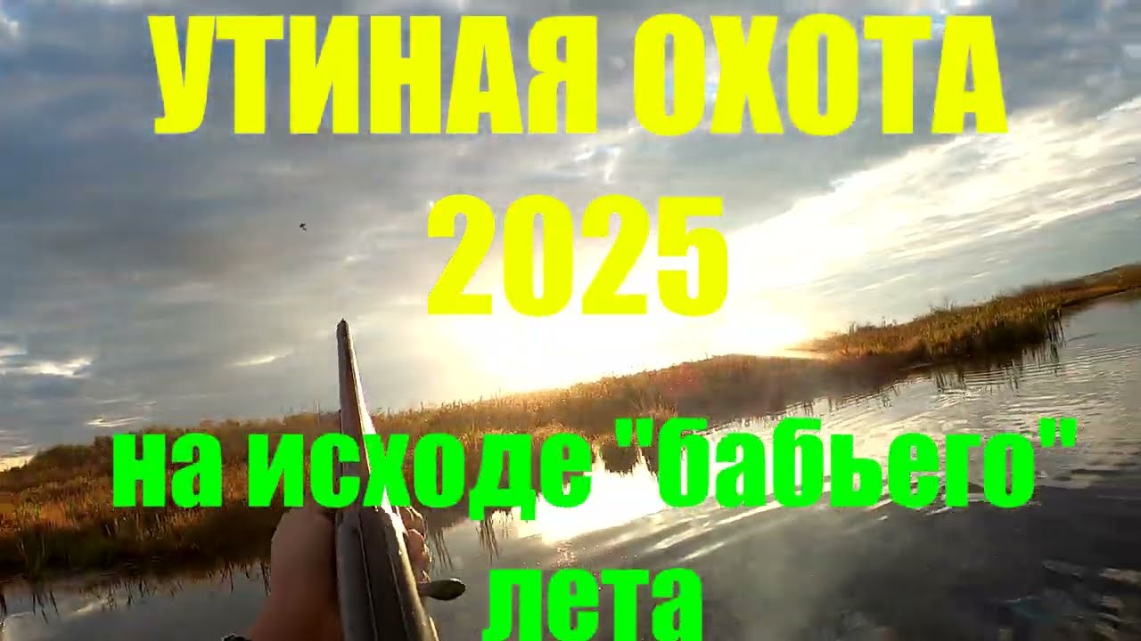 Утиная охота 2025. В разгар бабьего лета.