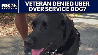 Florida veteran says he was denied Uber ride because of service dog: 'Slapped in the face'