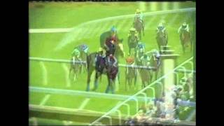 IRISH_NATIONAL_STUD-Title1.avi