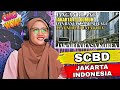 MALAYSIAN REACT SCBD JAKARTA INDONESIA