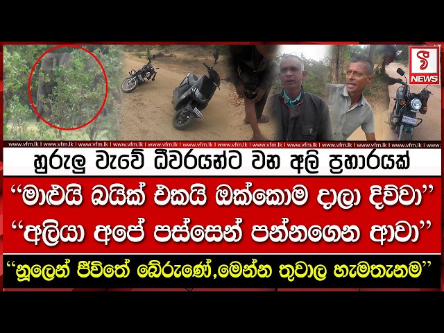 හුරුලු වැවේ ධීවරයන්ට වන අලි ප්‍රහාරයක්,මාළුයි බයික් එකයි ඔක්කොම දාලා දිව්වා"'