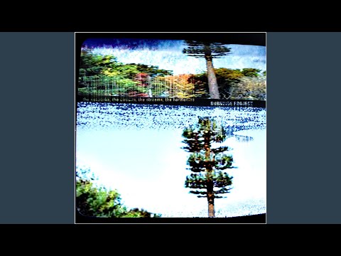Burnside Project — Foreign Exchange