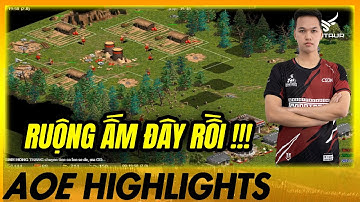 Chim Sẻ Đi Nắng CHUI HỐC - Đối thủ mất 1 ngày cũng KO TÌM RA | AoE Highlights #aoe