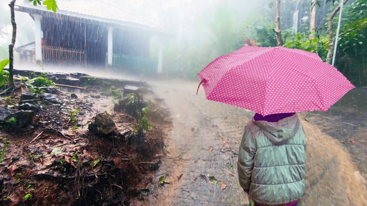 Heavy Rain in beautiful Hilly Village - Village atmosphere - Indonesian ...