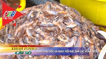 Mắm Châu Đốc và ngày hội đặc sản vùng miền | ATV Tin tức