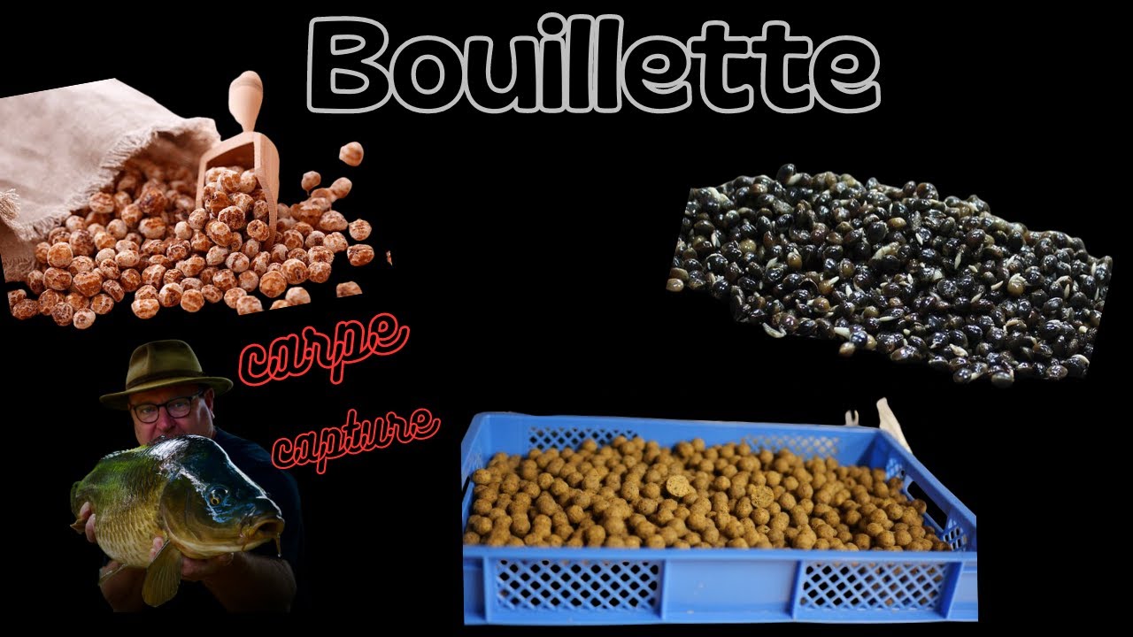 Bouillette tigernuts & Chénevis 