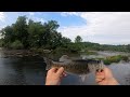 Shoal Bass Madness