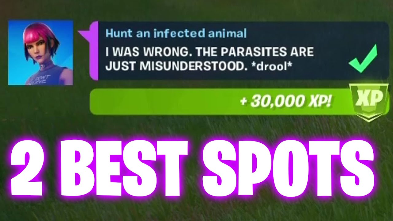Fortnite Hunt an infected animal YouTube