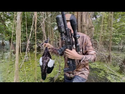 Hunting and Fishing in the Swamp with David Madrid P3