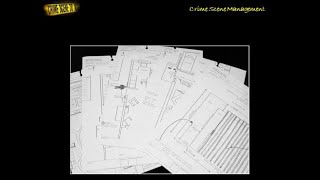 Celebrity Crime Scene Documentation Wealth