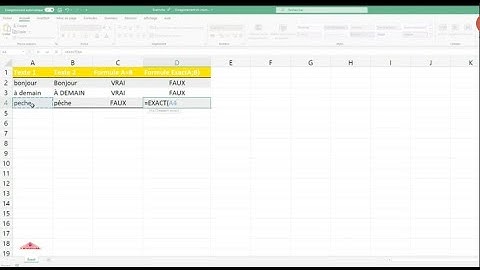 FORMATION EXCEL, FONCTION EXACT