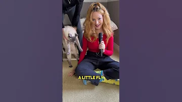 Bava MEOW Itsy Bitsy Listen To The Full Song With The Link In My Comments 