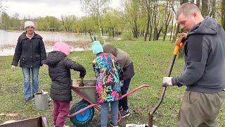 В парке «Фабричный пруд» Реутова появился «Общественный огород» 16.05.2024