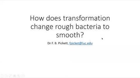 Bacterial Transformation Animation