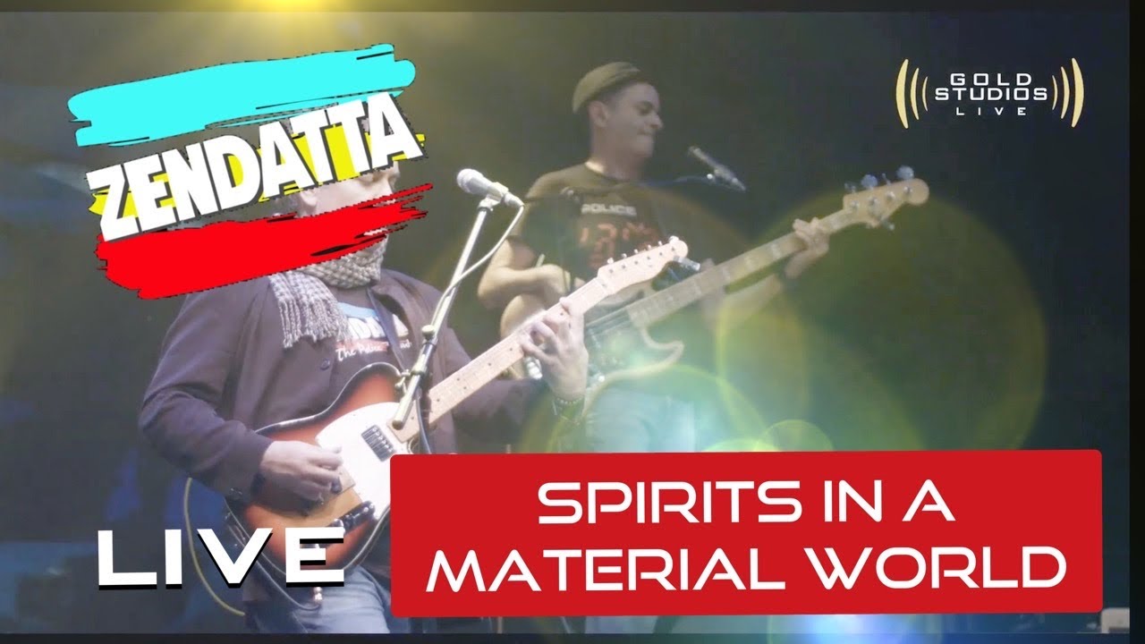 Spirits in the material World