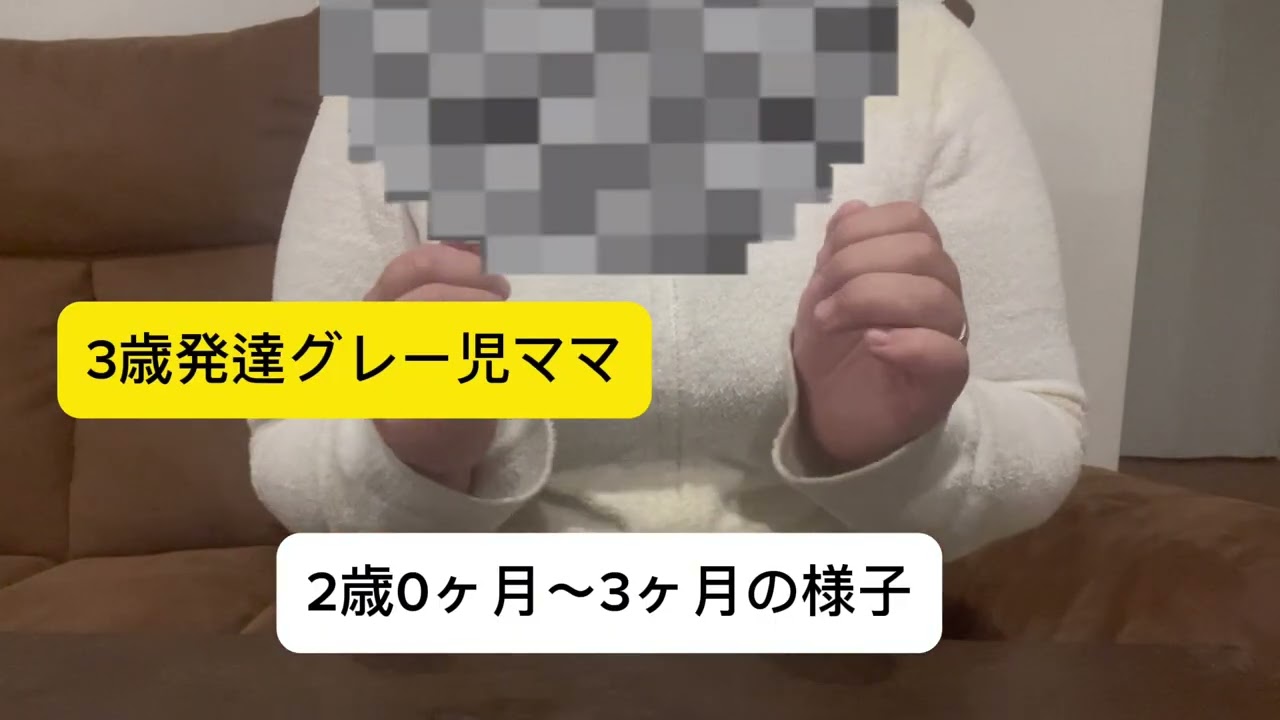 【3歳　発達グレー】2歳0ヶ月〜3ヶ月の様子