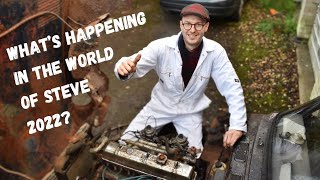 What's Happening in the World of Steve 2022?